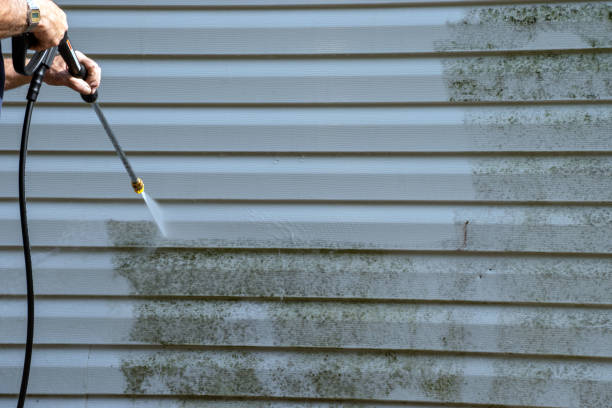 Best Carpet Removal and Disposal  in City View, SC
